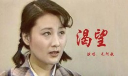 电视剧渴望主题曲,岁月如歌，情深似海