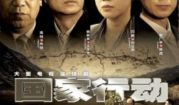 国家行动电视剧全集,揭秘惊心动魄的正义之战