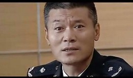 公安局长电视剧大全,守护正义的忠诚卫士