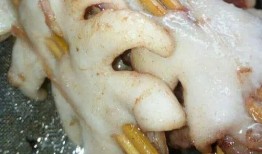 冰鲜大鱿鱼爆料方法视频,轻松解锁美味烹饪秘诀