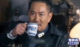 电视剧忠者无敌全集在线观看,全集剧情回顾，揭秘英雄传奇