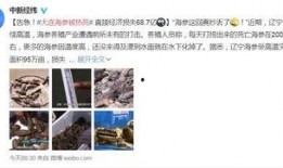 爆料海参被打视频,现场视频曝光，真相令人震惊