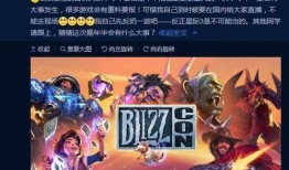 最新爆料暴雪事件新闻,揭秘幕后真相与影响