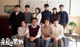 家庭的电视剧,温馨岁月里的喜怒哀乐