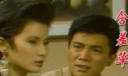 含羞草电视剧,青春校园的浪漫传奇