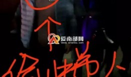 白鹤大人爆料视频在线观看,独家内容在线观看解析