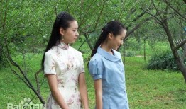 早春二月电视剧,青春岁月的温暖回响