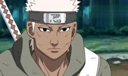 五代雷影达鲁伊爆料视频,五代神秘事件大揭秘