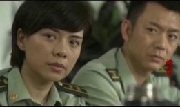 密码电视剧,揭秘国家安全背后的生死较量