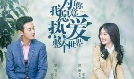 麒麟夫夫是哪个电视剧,穿越时空的甜蜜邂逅