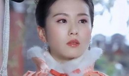 刘诗诗主演的电视剧,刘诗诗主演电视剧情感纠葛录