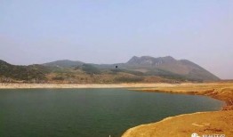 团湖水库爆料最新消息,揭秘水质改善与生态保护新进展