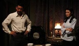 霸王硬上弓电视剧,英雄末路，情仇交织的乱世传奇