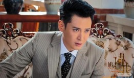 请赐我一双翅膀电视剧,翱翔于爱与正义的翅膀之下