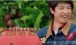 圈里圈外娱乐爆料华晨宇,圈里圈外娱乐爆料，揭秘音乐才子的不为人知一面