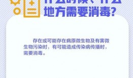 闪电新闻的爆料,揭秘重大事件背后惊人真相