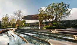 大华公园最新爆料,揭秘公园背后的神秘故事与未来规划