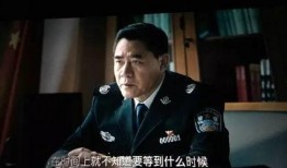公安局长李西东电视剧,铁血公安局长