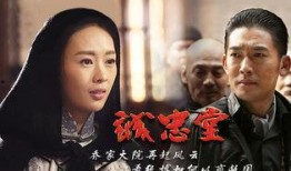 诚信堂 电视剧,商界风云中的诚信传奇