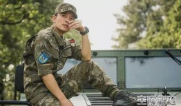 好看的军旅电视剧,军旅荣耀，热血铸就