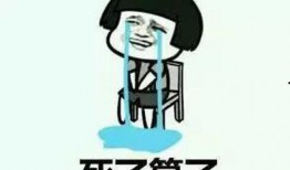 吃瓜网红小逗逗送外卖,吃瓜网红的送餐日常