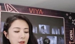 爆料张大奕新闻,揭秘网红电商背后的争议与真相