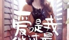 爱你是我做过最好的事电视剧,浪漫邂逅，谱写甜蜜爱情篇章