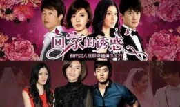 复仇的电视剧,爱恨交织的复仇传奇