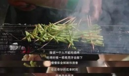 吃瓜网红拍照文案姐妹篇,瓜界新潮流，镜头下的趣味生活