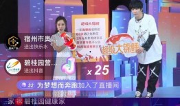 碧桂园爆料直播视频,项目亮点与未来规划深度解析