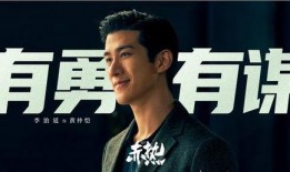 最新电视剧更新,穿越剧中的奇幻之旅