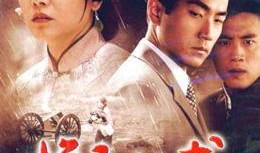 换子成龙电视剧,命运交织的父子传奇