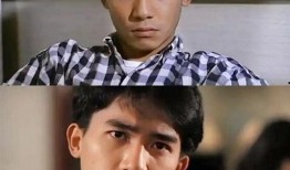 梁朝伟电视剧,光影交织的传奇人生