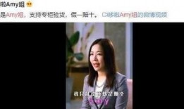 四姐被爆料风波视频,真相与争议交织