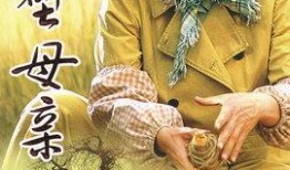 戈壁母亲电视剧全集,穿越岁月的坚韧与爱