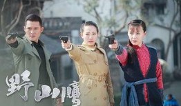 野山鹰电视剧,烽火岁月里的青春传奇