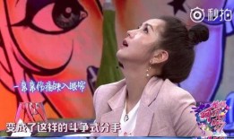 苏醒何洁爆料视频大全集,揭秘娱乐圈背后的真相