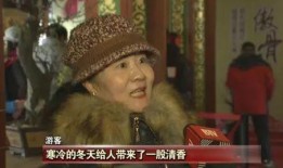 新金瓶双梅在线观看,激情演绎，经典再现