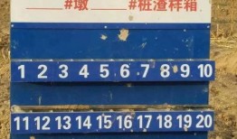 武邑爆料最新消息视频,视频揭秘事件真相