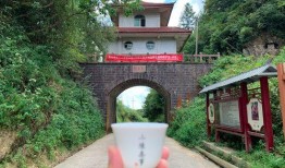 海哥详细爆料视频大全集,揭秘幕后真相，深度解析热点事件