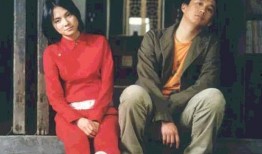 似水年华电视剧,青春岁月里的爱情与成长