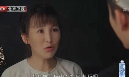 岳丽娜主演的电视剧,情感纠葛与命运抉择