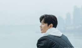 肖战感情爆料视频大全最新,揭秘爆料视频背后的真相与争议