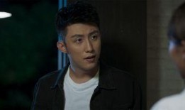 破绽电视剧,揭秘真相背后的重重迷雾