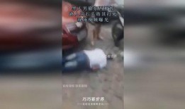 瓶子爆料被石锤打死了视频,瓶子爆料事件视频揭露惊人内幕