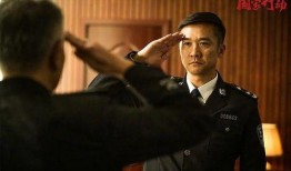 国家行动电视剧全集,揭秘惊心动魄的正义之战