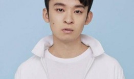 董子健演过的电视剧,从青春校园到都市情感，演绎多面人生