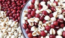 红麻豆,天然营养宝库的奥秘探索