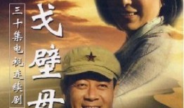 戈壁母亲电视剧全集,穿越岁月的坚韧与爱