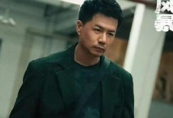 段奕宏电视剧,演绎时代变迁，塑造经典角色